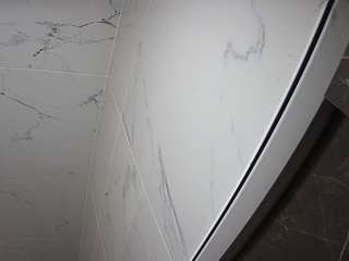 voyeurcam-casa-salsa-bathroom-11