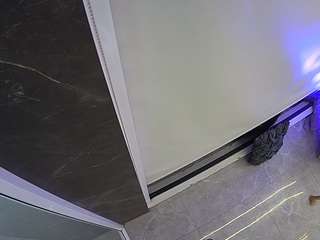 voyeurcam-casa-salsa-bathroom-11