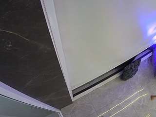 voyeurcam-casa-salsa-bathroom-11