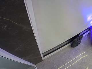 Este modelo está en vivo ahora. voyeurcam-casa-salsa-bathroom-11