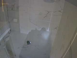 voyeurcam-casa-salsa-bathroom-11