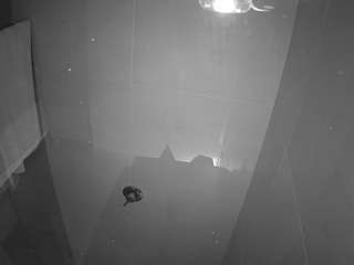 voyeurcam-casa-salsa-bathroom-11