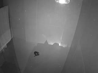 voyeurcam-casa-salsa-bathroom-11
