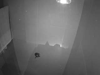 voyeurcam-casa-salsa-bathroom-11