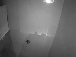 voyeurcam-casa-salsa-bathroom-11