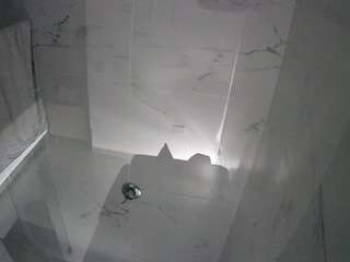 voyeurcam-casa-salsa-bathroom-11