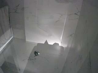 voyeurcam-casa-salsa-bathroom-11
