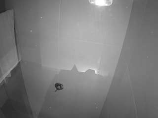 voyeurcam-casa-salsa-bathroom-11