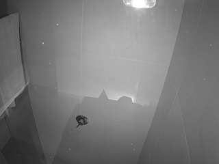 voyeurcam-casa-salsa-bathroom-11