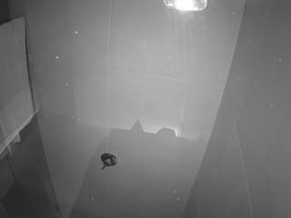 voyeurcam-casa-salsa-bathroom-11