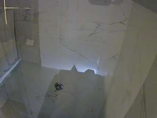 voyeurcam-casa-salsa-bathroom-11
