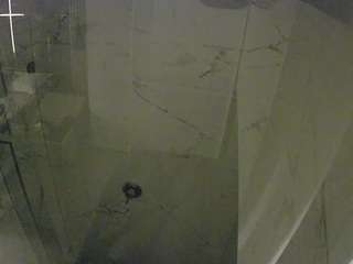 voyeurcam-casa-salsa-bathroom-11