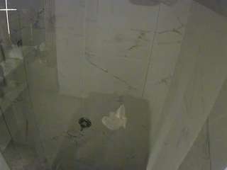voyeurcam-casa-salsa-bathroom-11