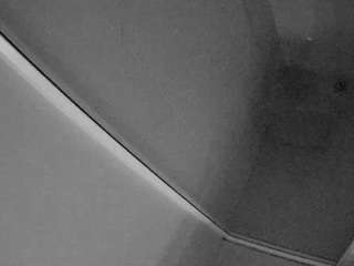 voyeurcam casa salsa bathroom 12