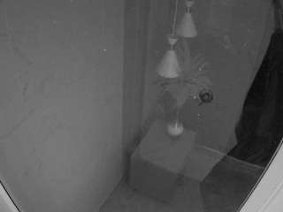 voyeurcam casa salsa bathroom 12