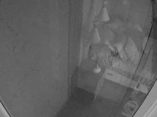 voyeurcam-casa-salsa-bathroom-12