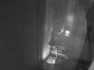 voyeurcam-casa-salsa-bathroom-12