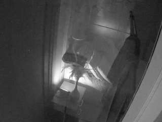 voyeurcam-casa-s... Live Webcam on CamSoda