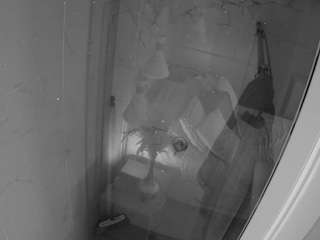 voyeurcam-casa-salsa-bathroom-12