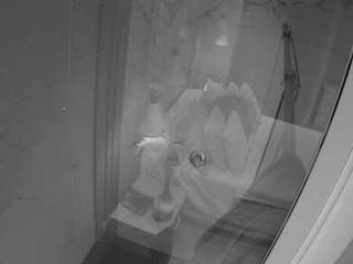 voyeurcam-casa-salsa-bathroom-12