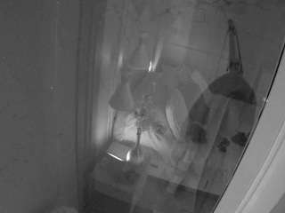 voyeurcam-casa-salsa-bathroom-12