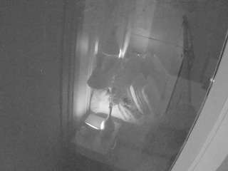 voyeurcam-casa-s... Live Webcam on CamSoda