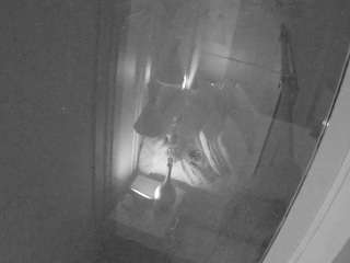 voyeurcam-casa-s... Live Webcam on CamSoda