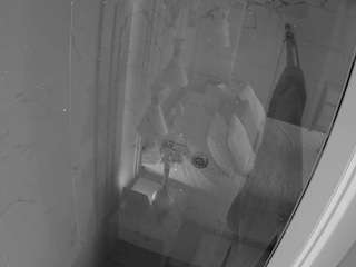 voyeurcam-casa-salsa-bathroom-12