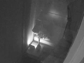 voyeurcam casa salsa bathroom 12