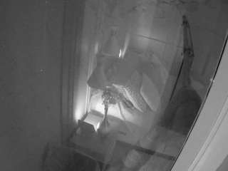 voyeurcam-casa-salsa-bathroom-12