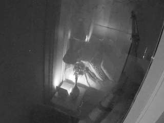 voyeurcam-casa-s... Live Webcam on CamSoda