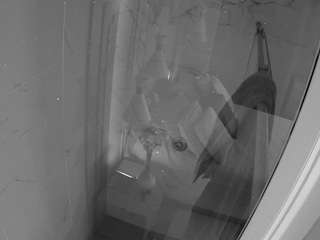 voyeurcam-casa-salsa-bathroom-12
