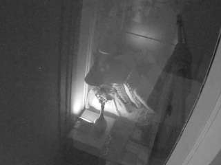 voyeurcam-casa-s... Live Webcam on CamSoda