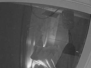 voyeurcam-casa-salsa-bathroom-12 live cam profile