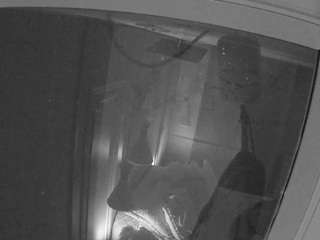 voyeurcam-casa-salsa-bathroom-12 live cam profile