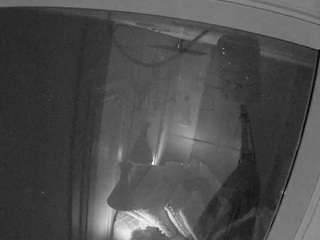 voyeurcam-casa-salsa-bathroom-12