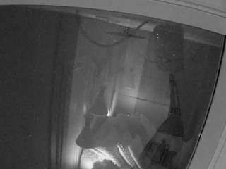 voyeurcam-casa-salsa-bathroom-12 live cam profile