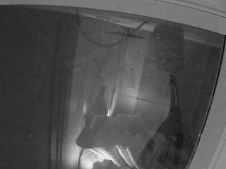 voyeurcam-casa-salsa-bathroom-12 Profile Image