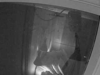 voyeurcam-casa-salsa-bathroom-12