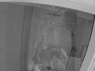 voyeurcam-casa-salsa-bathroom-12