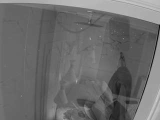 voyeurcam casa salsa bathroom 12