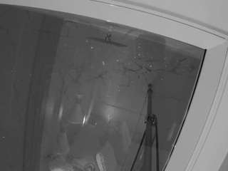 voyeurcam-casa-salsa-bathroom-12 webcam model