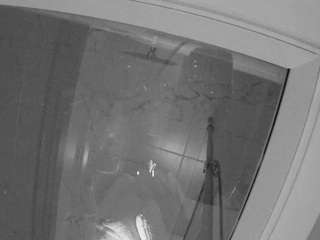 voyeurcam-casa-salsa-bathroom-12