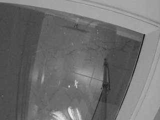 voyeurcam-casa-salsa-bathroom-12