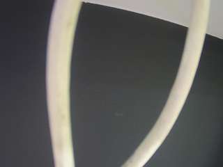 voyeurcam-casa-salsa-bathroom-13