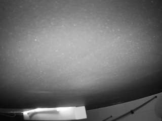 voyeurcam casa salsa bathroom 13