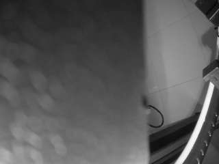  voyeurcam-casa-salsa-bathroom-13 chat room