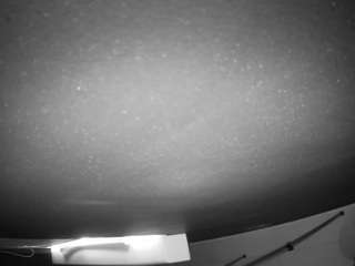voyeurcam-casa-s... Live Webcam on CamSoda