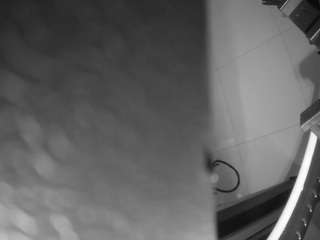 voyeurcam casa salsa bathroom 13