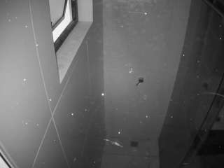 voyeurcam-casa-salsa-bathroom-13